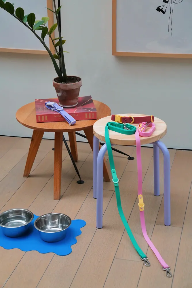 Accessoires animaux - La Laisse Fritz de Chien - APPROVED BY FRITZ