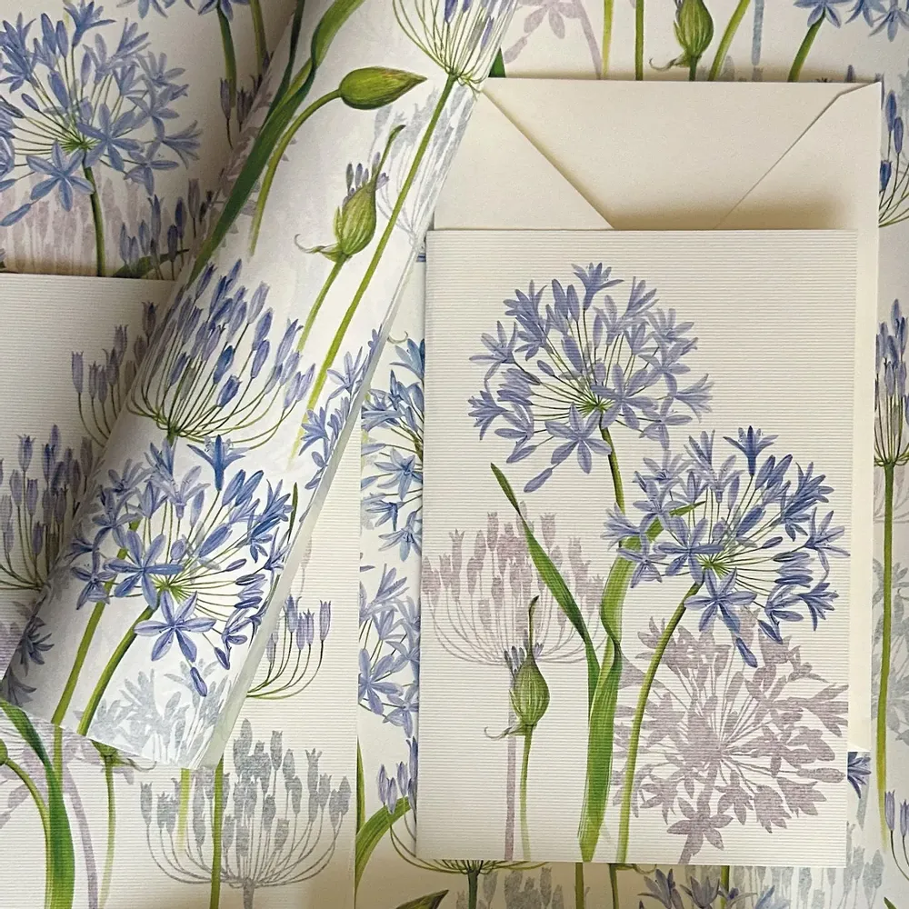 Card shop - Tassotti greeting cards - TASSOTTI - ITALY