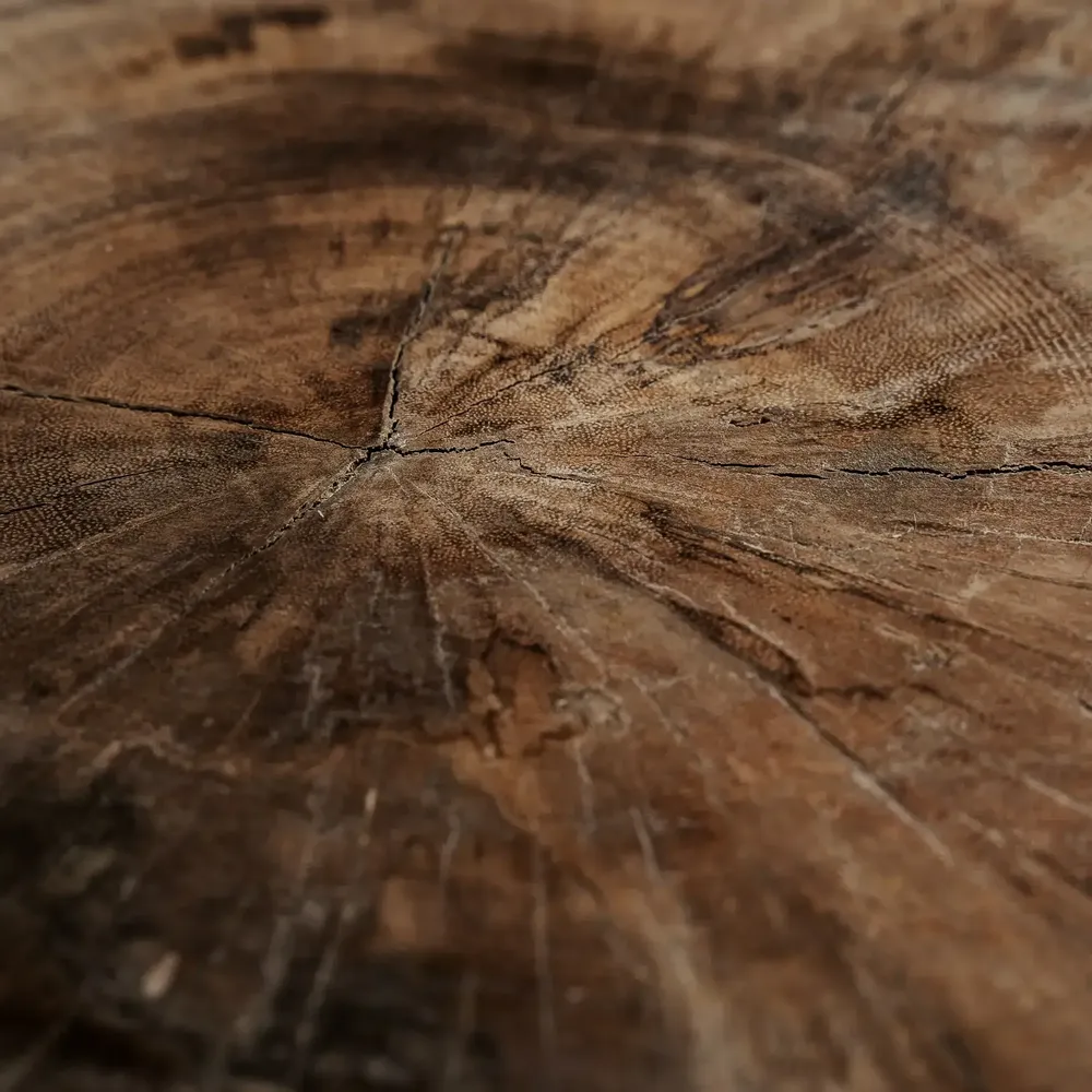 Tables basses - Table basse en bois de suar couleur marron cassé naturel en 60x60x41 cm - VICAL