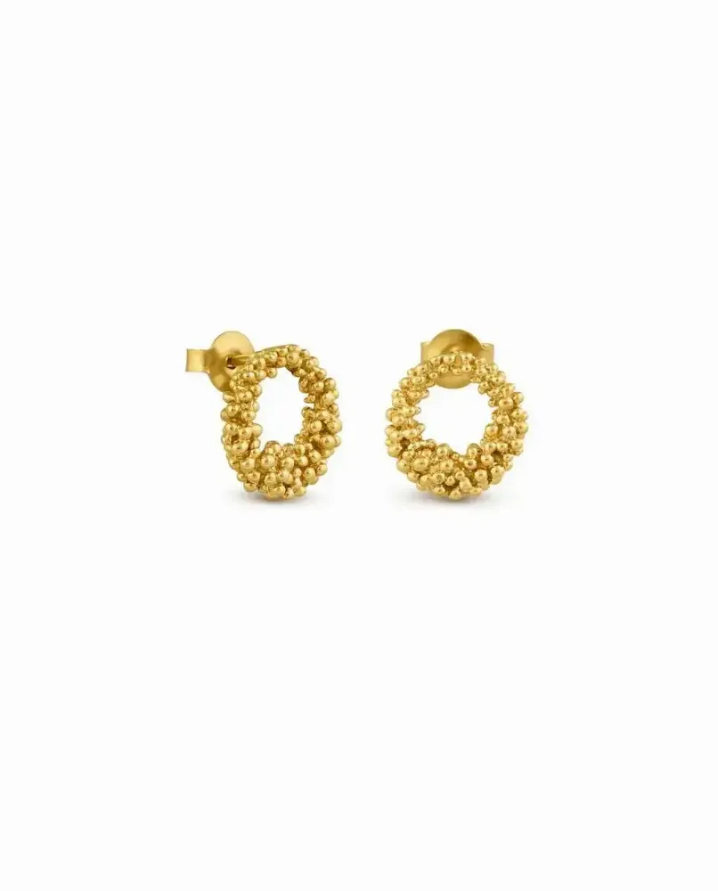 Jewelry - SMALL GOLDEN HOOP EARRINGS STARDUST - JOIDART