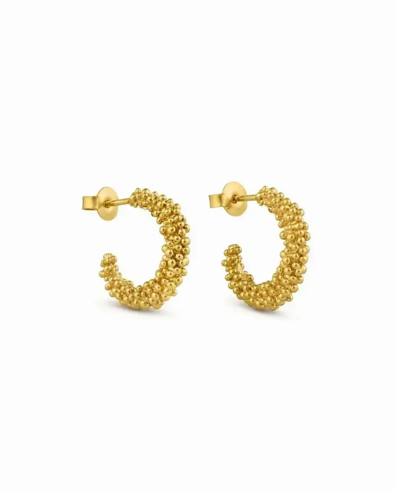 Jewelry - MEDIUM GOLDEN HOOP EARRINGS STARDUST - JOIDART