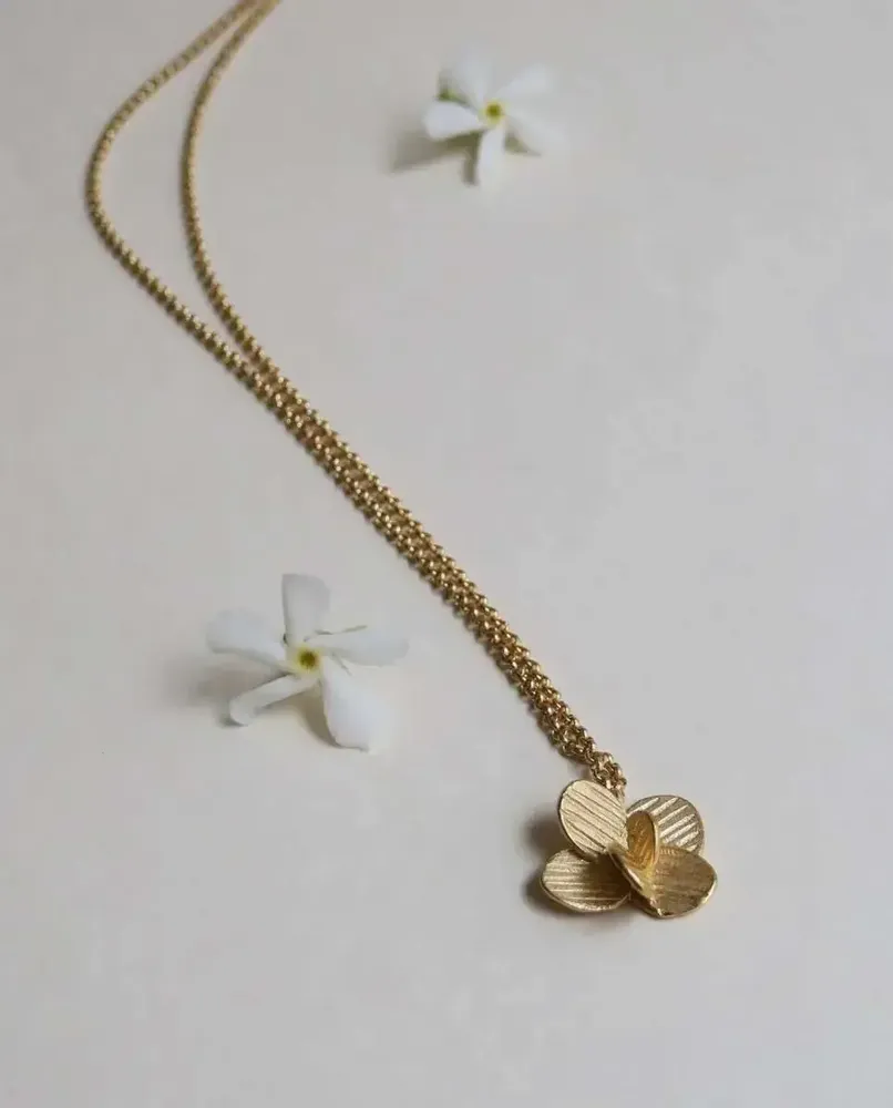 Jewelry - GOLDEN NECKLACE PAMPALONIA CHAIN - JOIDART