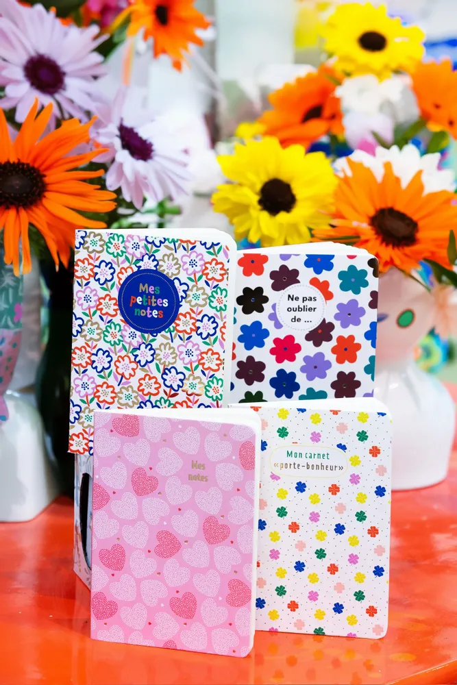 Stationery - POCKET NOTEBOOKS - CARTESDART