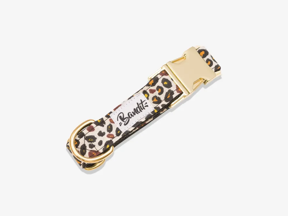 Accessoires animaux - Collier pour chien léopard - FRENCH BANDIT