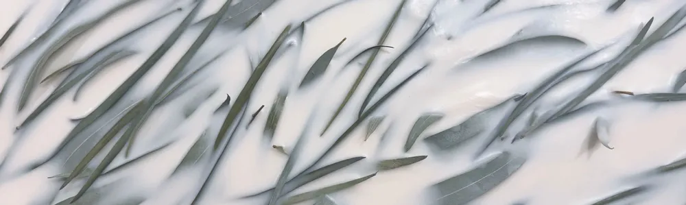 Candles - Evolve 30 - KOTT