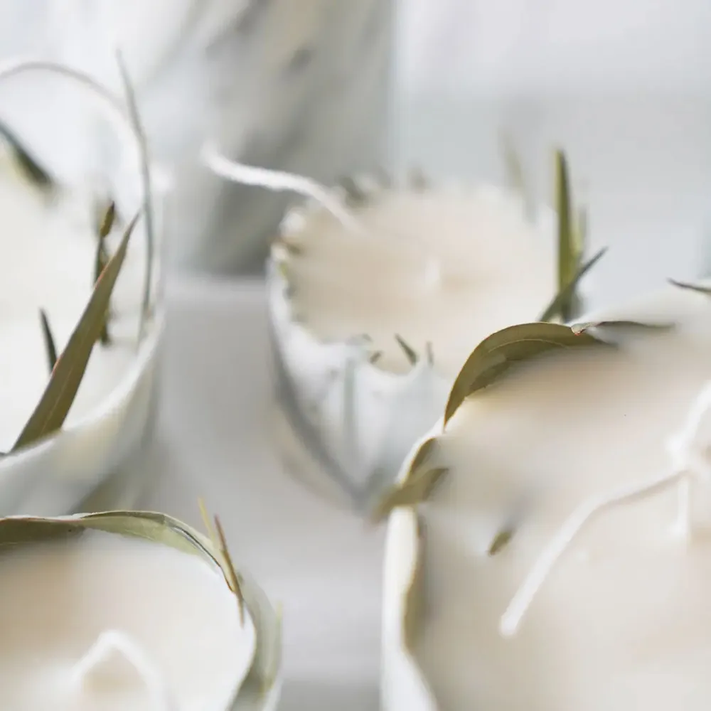 Candles - Evolve 10 - KOTT