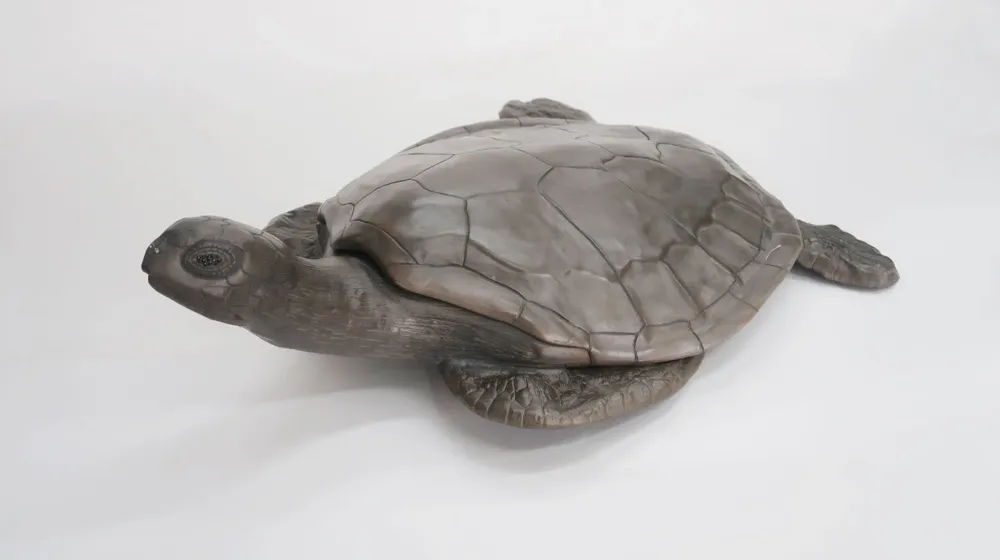 Design objects - Sea Turtle Object - GILLES CAFFIER