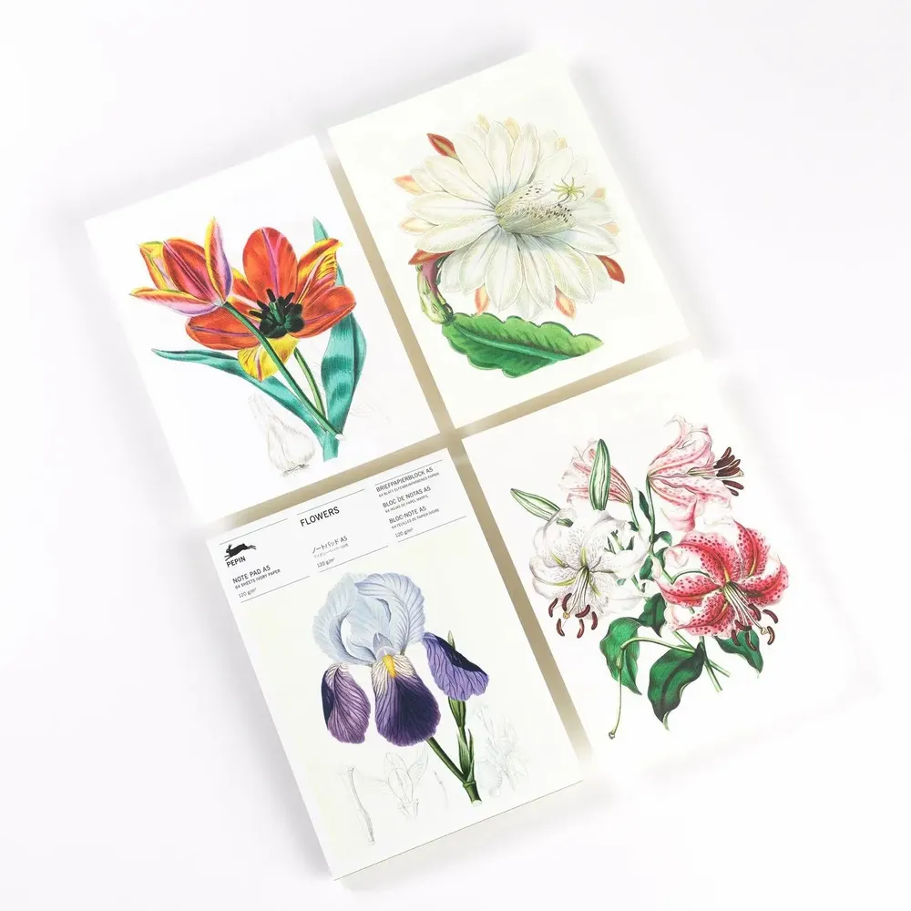 Gifts - Writing Pads & Envelopes - THE PEPIN PRESS
