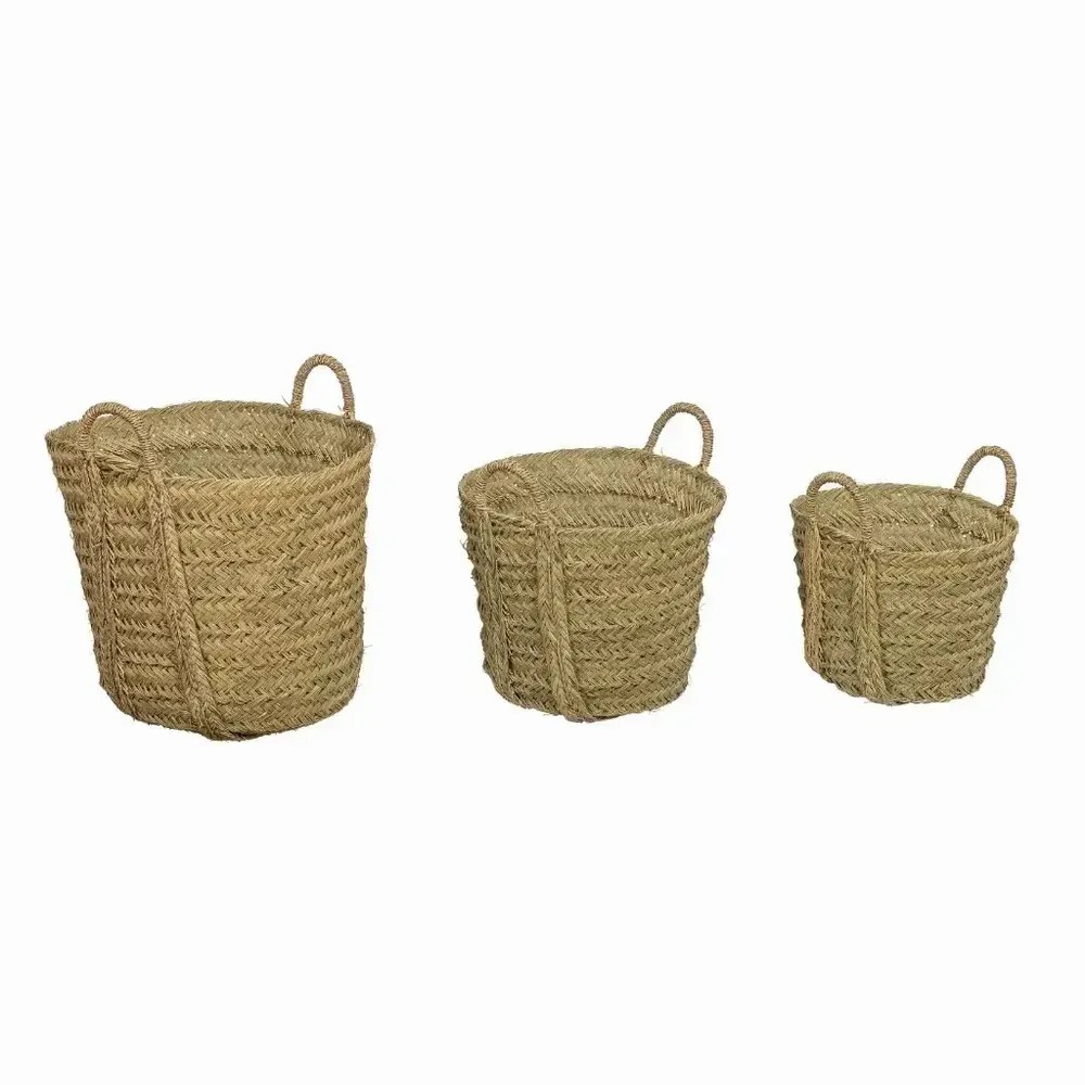 Paniers - Lot de 3 paniers en jonc - AVY - HYDILE