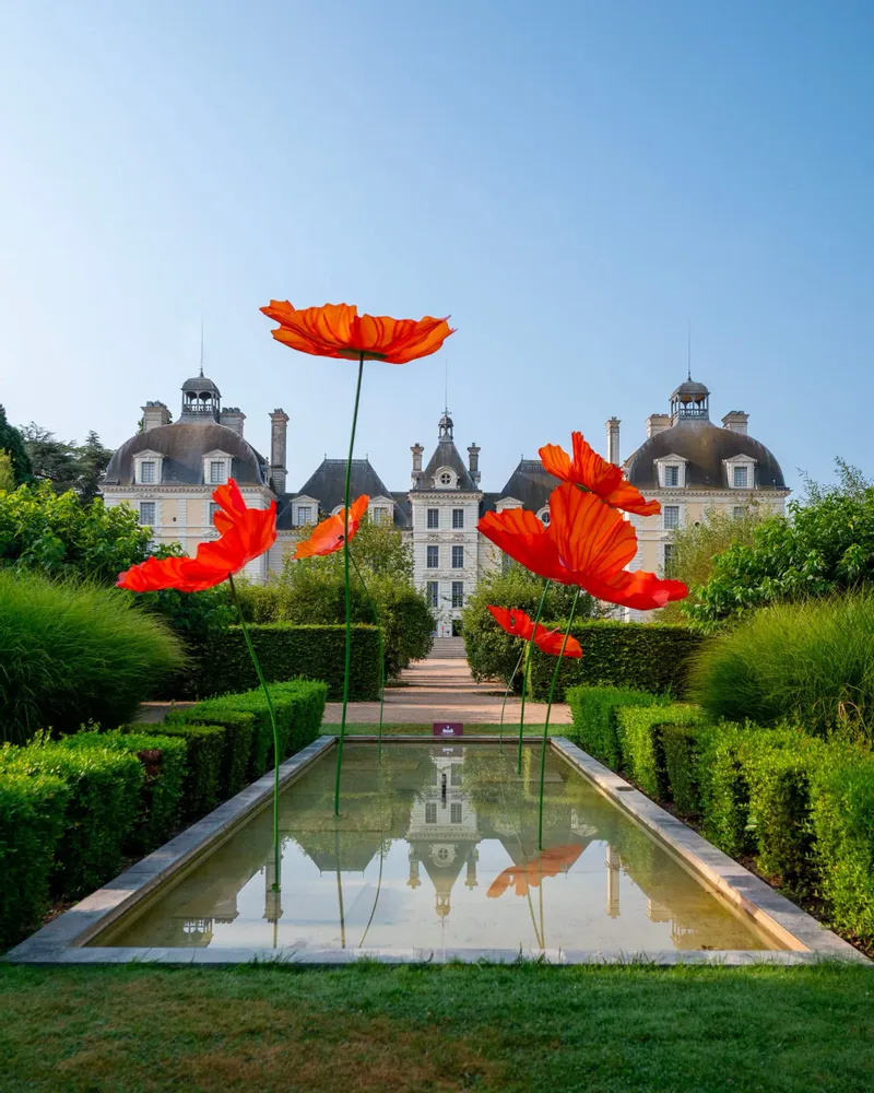 Floral decoration - Poppy - LA FLEUR MONUMENTALE