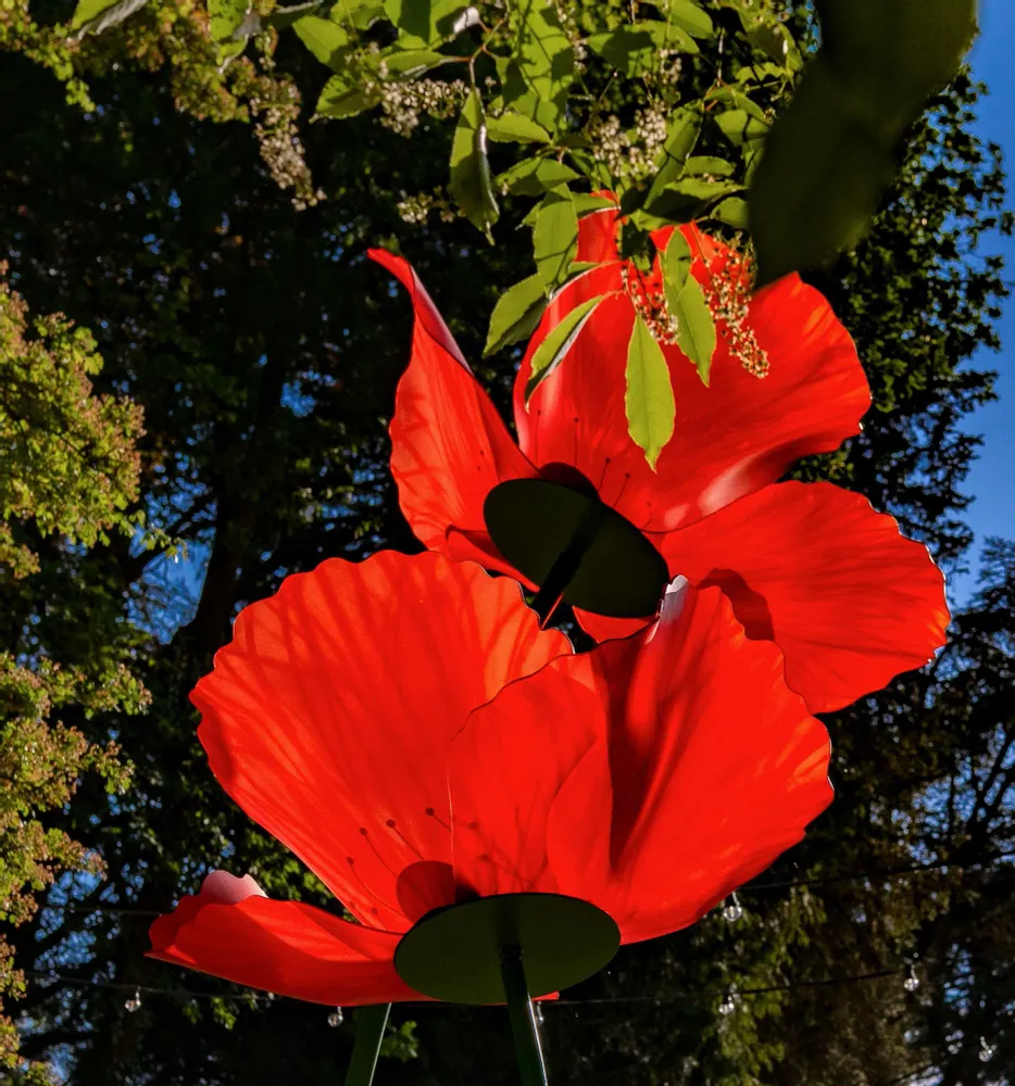 Floral decoration - Poppy - LA FLEUR MONUMENTALE