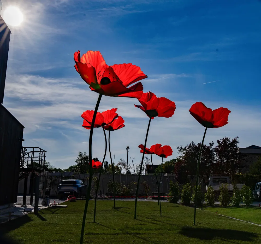 Floral decoration - Poppy - LA FLEUR MONUMENTALE