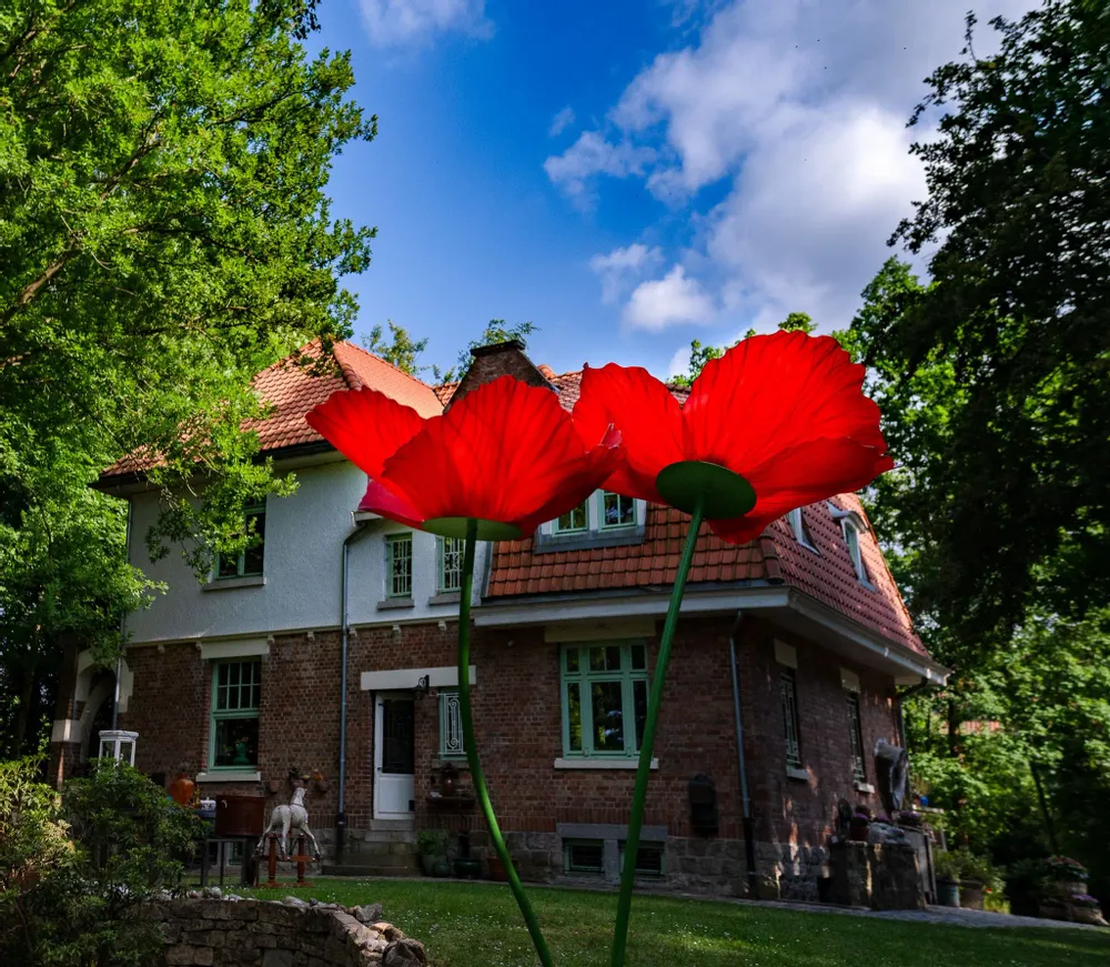 Floral decoration - Poppy - LA FLEUR MONUMENTALE