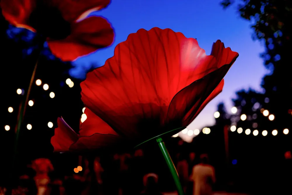Floral decoration - Poppy - LA FLEUR MONUMENTALE