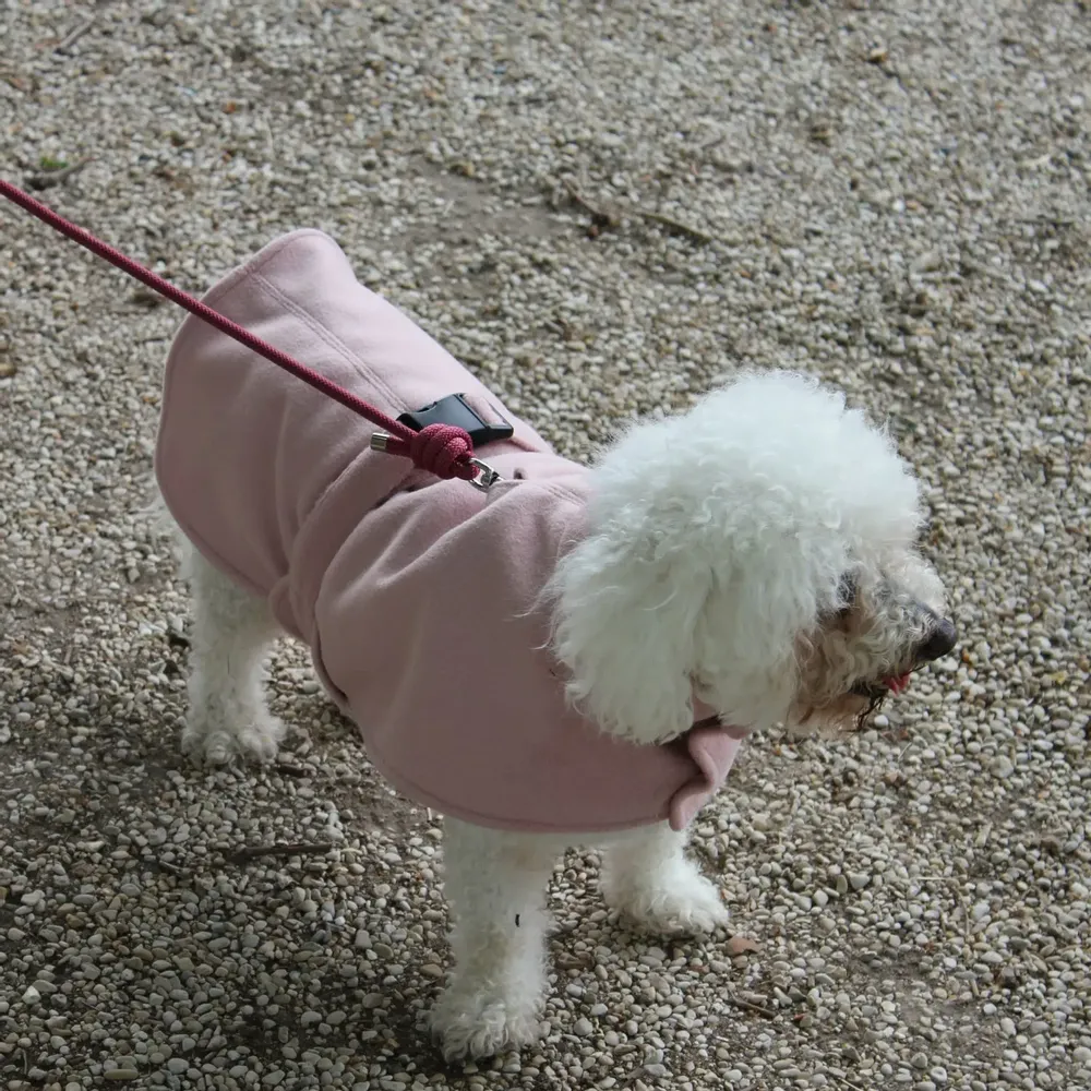 Pet accessories - VAUBAN DOG COAT - CHARLY ET MOI