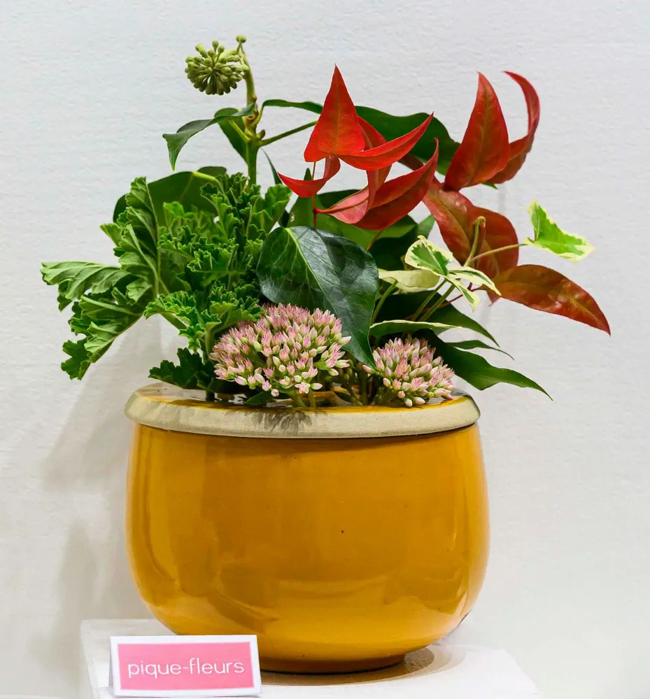 Vases - Basic, Bottle, Koom & Maïko Collections - LES GUIMARDS
