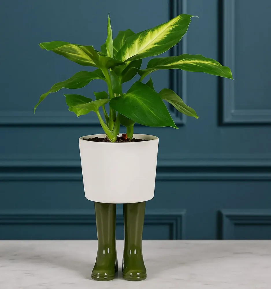 Vases - Bitten Design - Planters & Vases - LA PETITE CENTRALE
