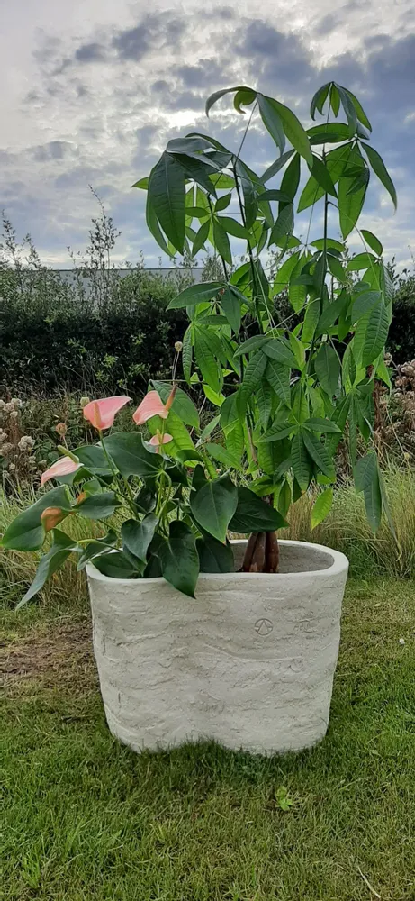 Vases - Vortexi - ATELIER SCRALAN