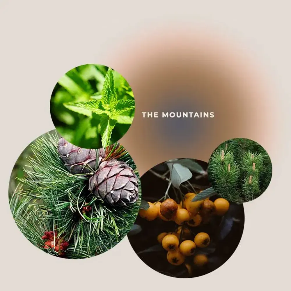 Soaps - THE MOUNTAINS Relaxing and Soothing Shower Gel 200ml - GIVING LOVE TO
