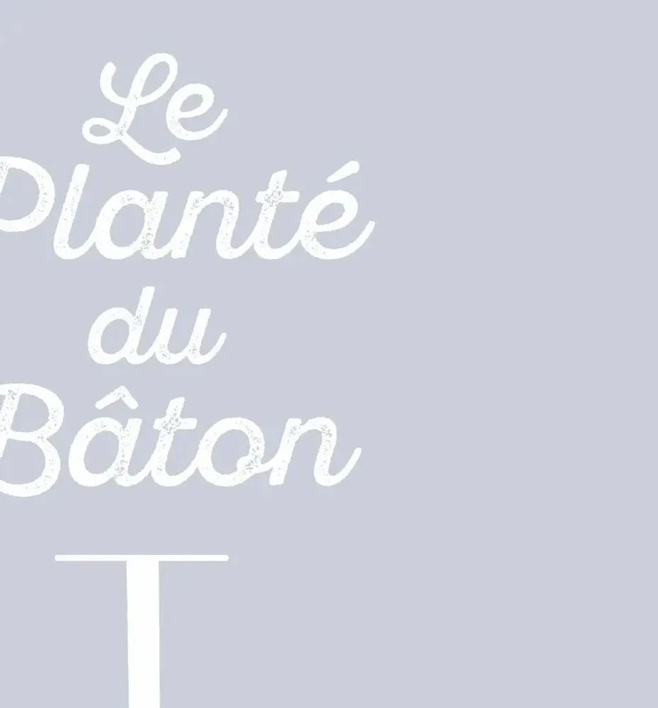 Poster - Poster Le Planté Du Baton : Gris - COSYNÉVÉ - MOUNTAIN POSTERS