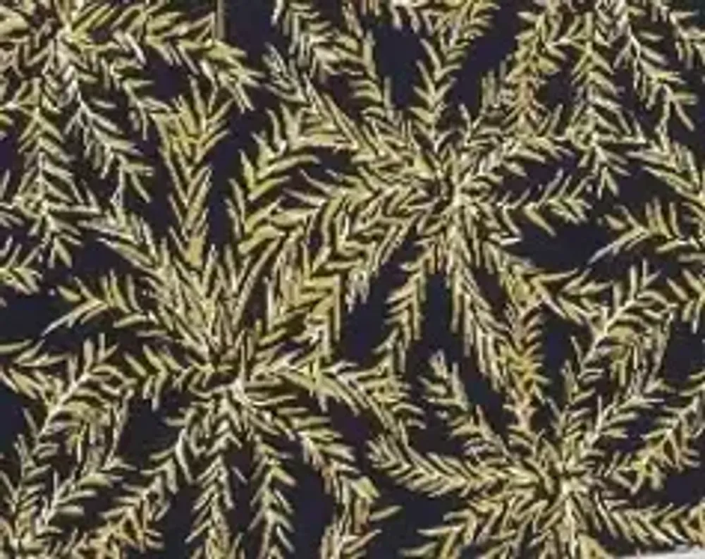 Coussins textile - Coussin d'extérieur Cozip TROPIC | Tissu Elitis - COZIP