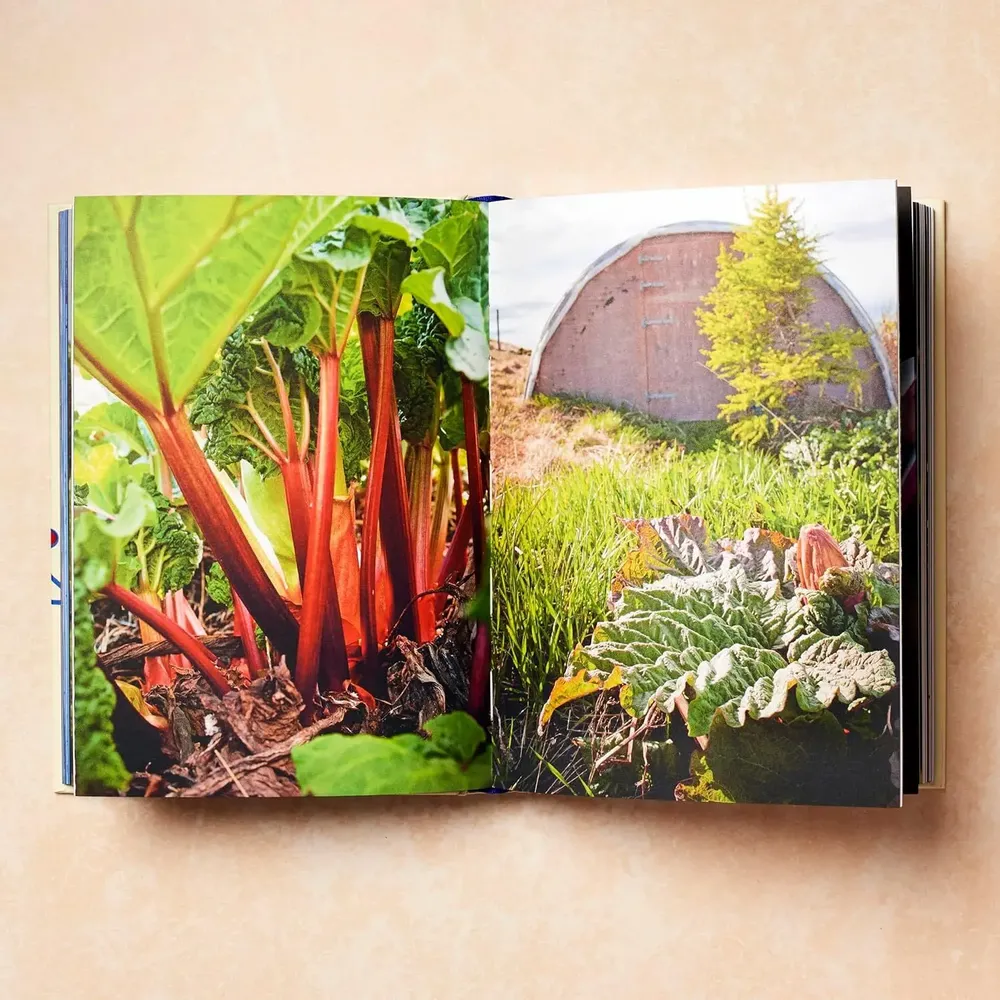 Decorative objects - Scandinavia - Recipes and Ingredients - NEW MAGS
