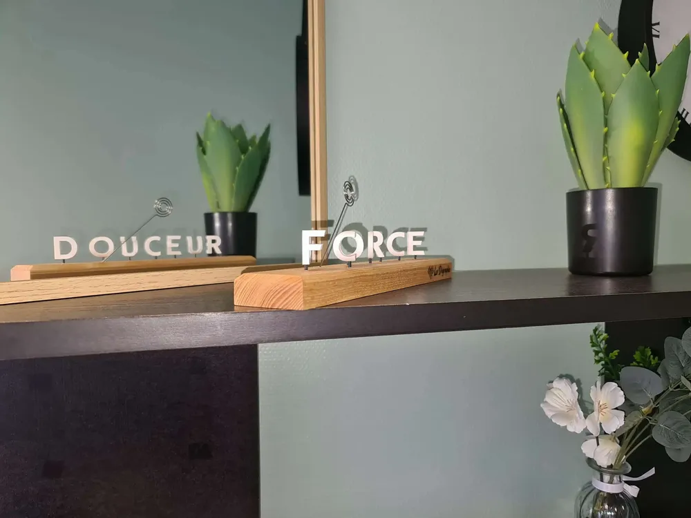 Design objects - Force - Douceur - LE DIGRAPHE