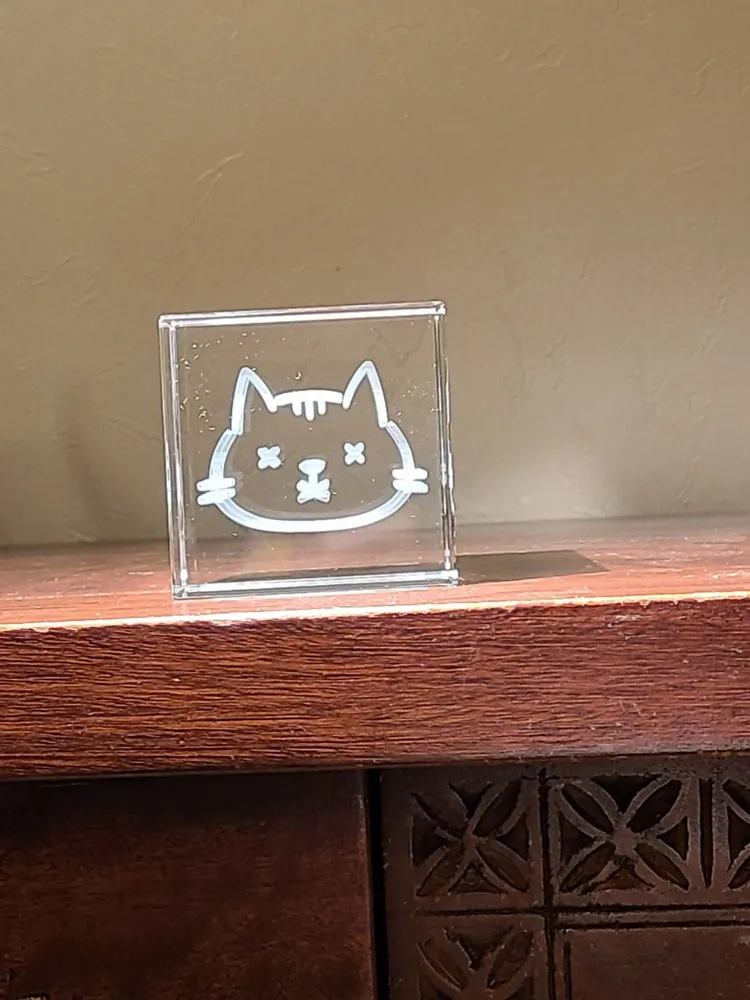 Decorative objects - Schrödinger's Cat - LE DIGRAPHE
