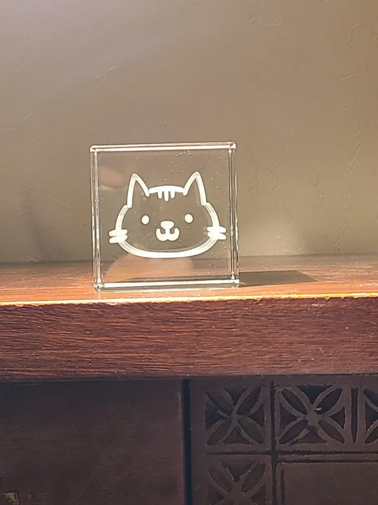 Decorative objects - Schrödinger's Cat - LE DIGRAPHE