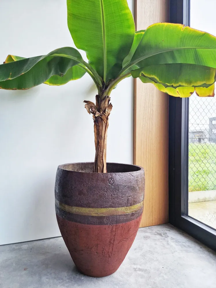 Vases - Aredco - ATELIER SCRALAN