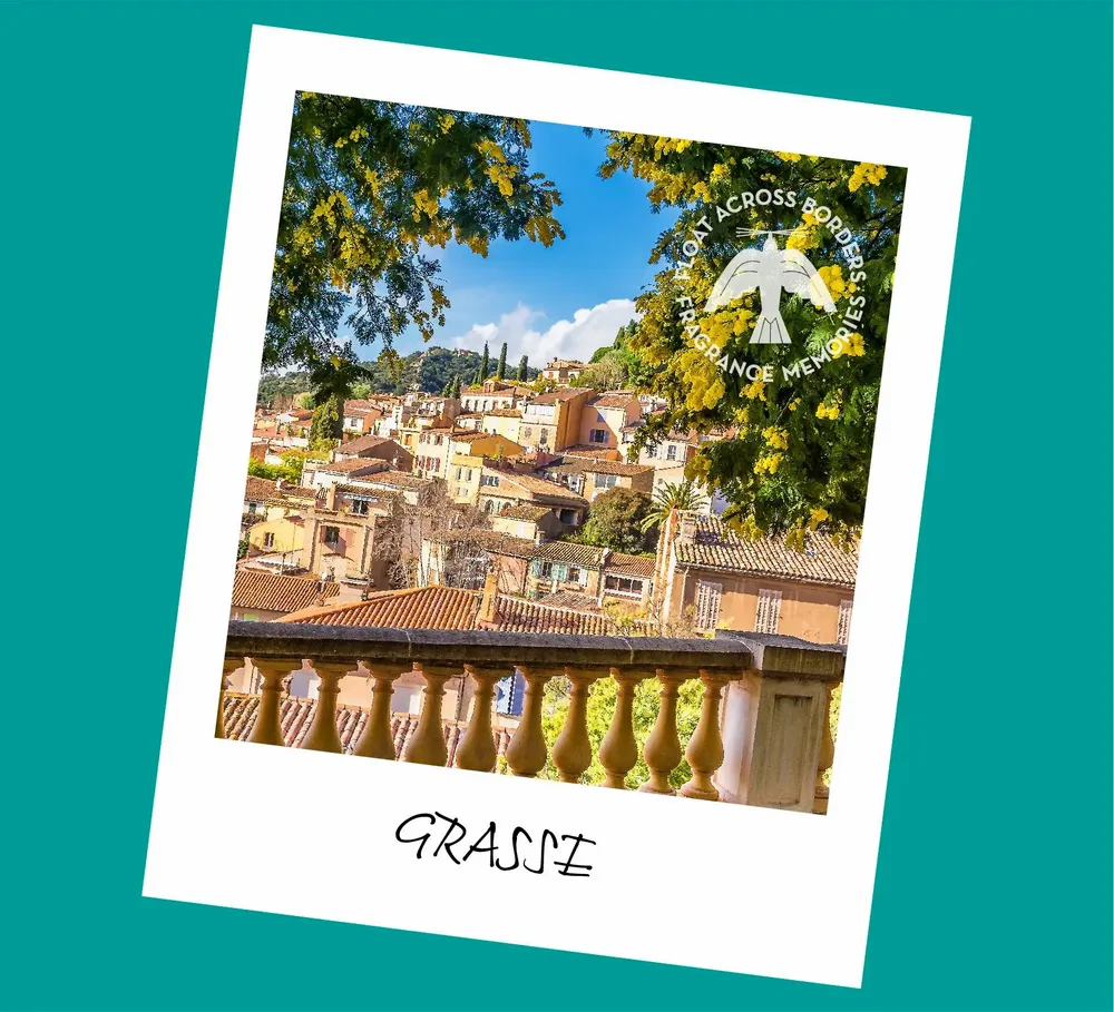Home fragrances - FRAGRANCE MEMORIES - TIERRA ZEN