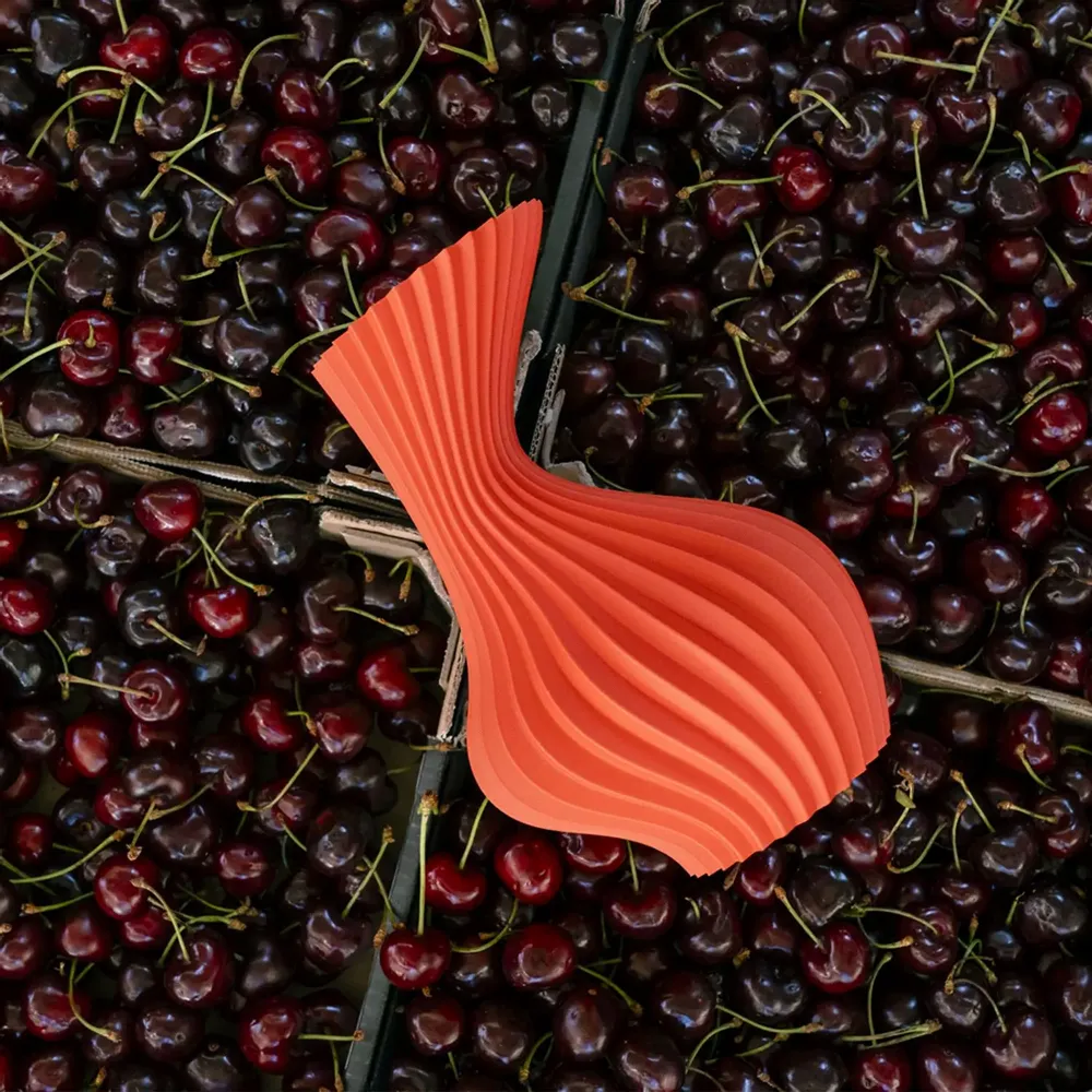 Design objects - large vase from the vegetable collection - ATELIER MAHD