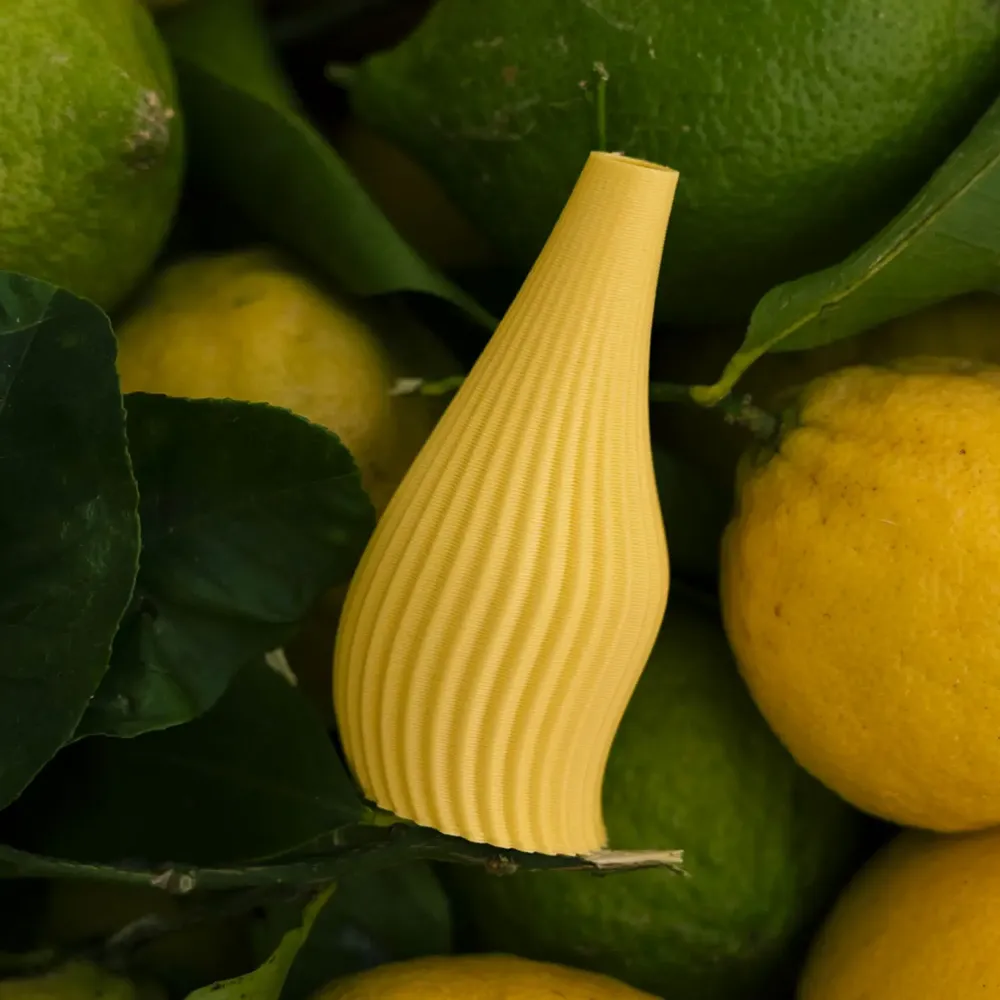 Design objects - large vase from the vegetable collection - ATELIER MAHD