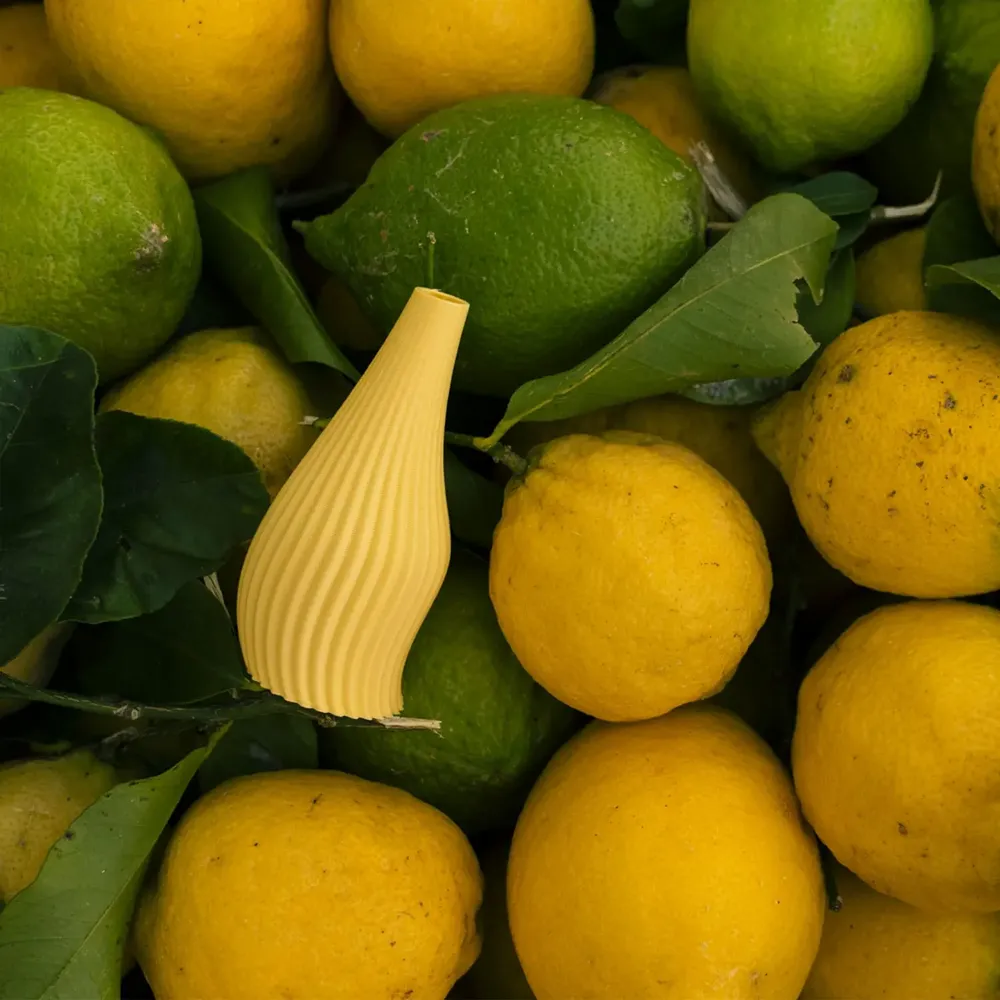 Design objects - Small vegetable vase - ATELIER MAHD
