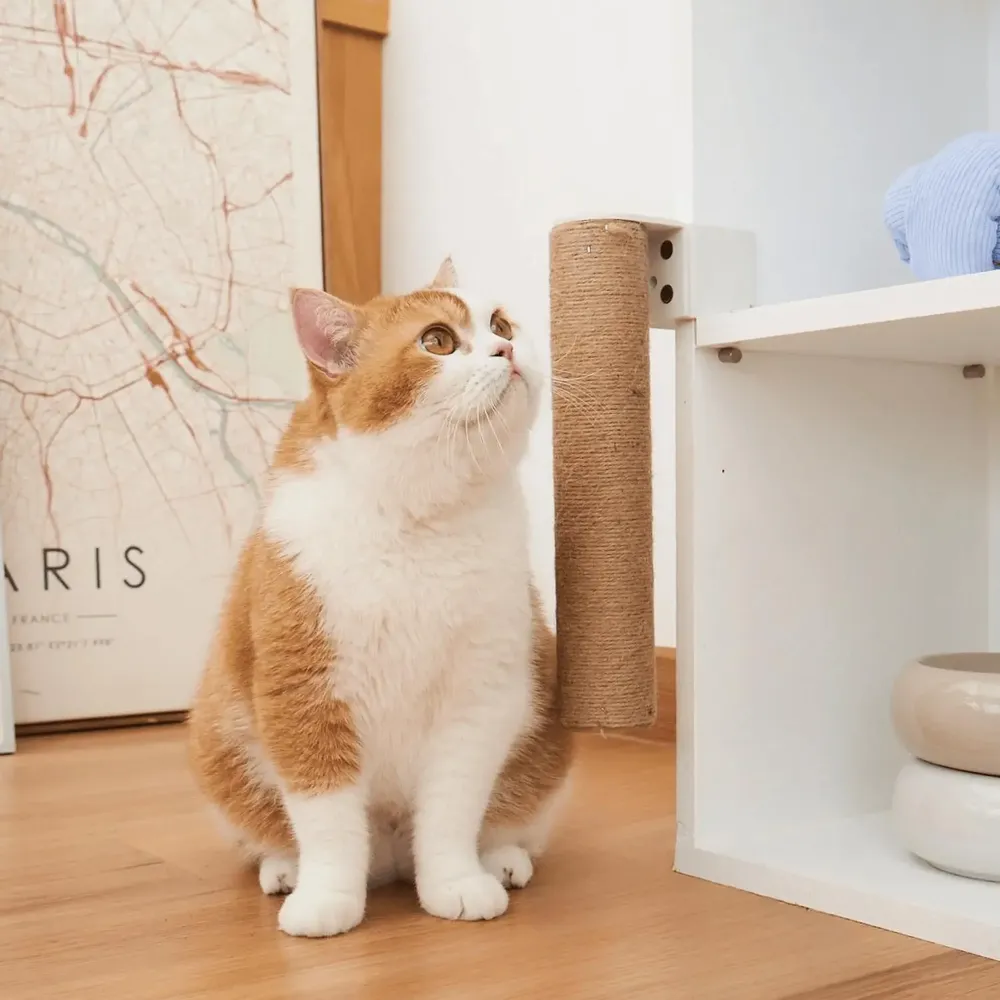 Etagères - Collection Cat Clamp — Meubles modulaires pour animaux de compagnie - POOCH & PURRR DESIGN
