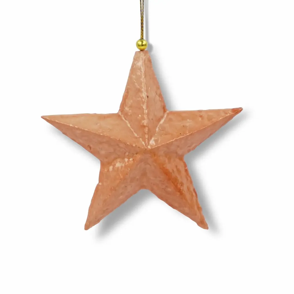 Other Christmas decorations - Trim 3D star capiz pulp - KINTA