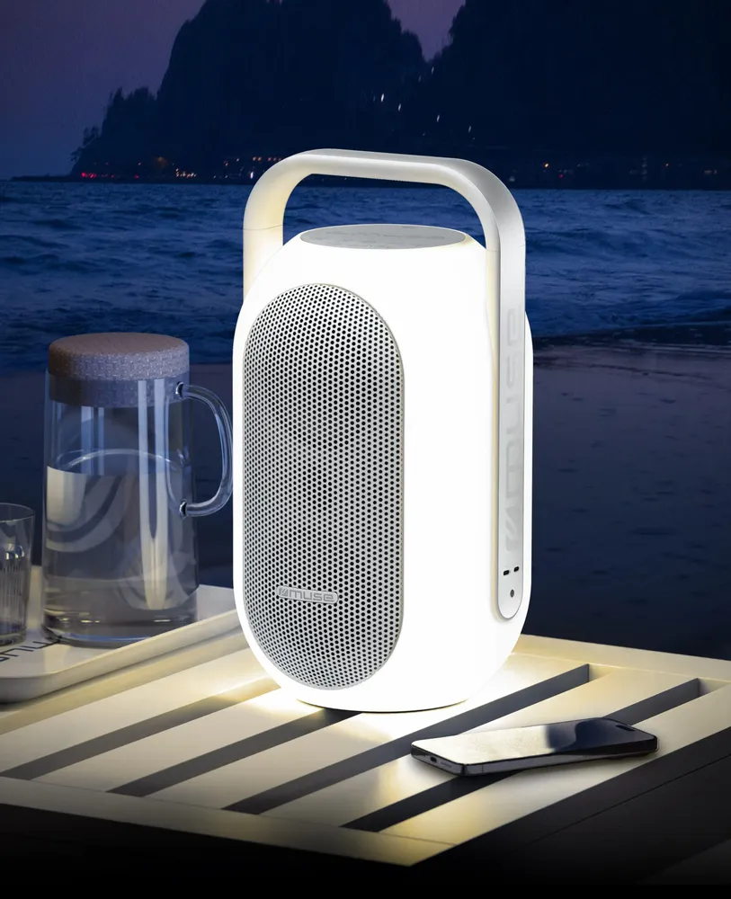 Enceintes et radios - ENCEINTE OUTDOOR ML-625 BT - MUSE
