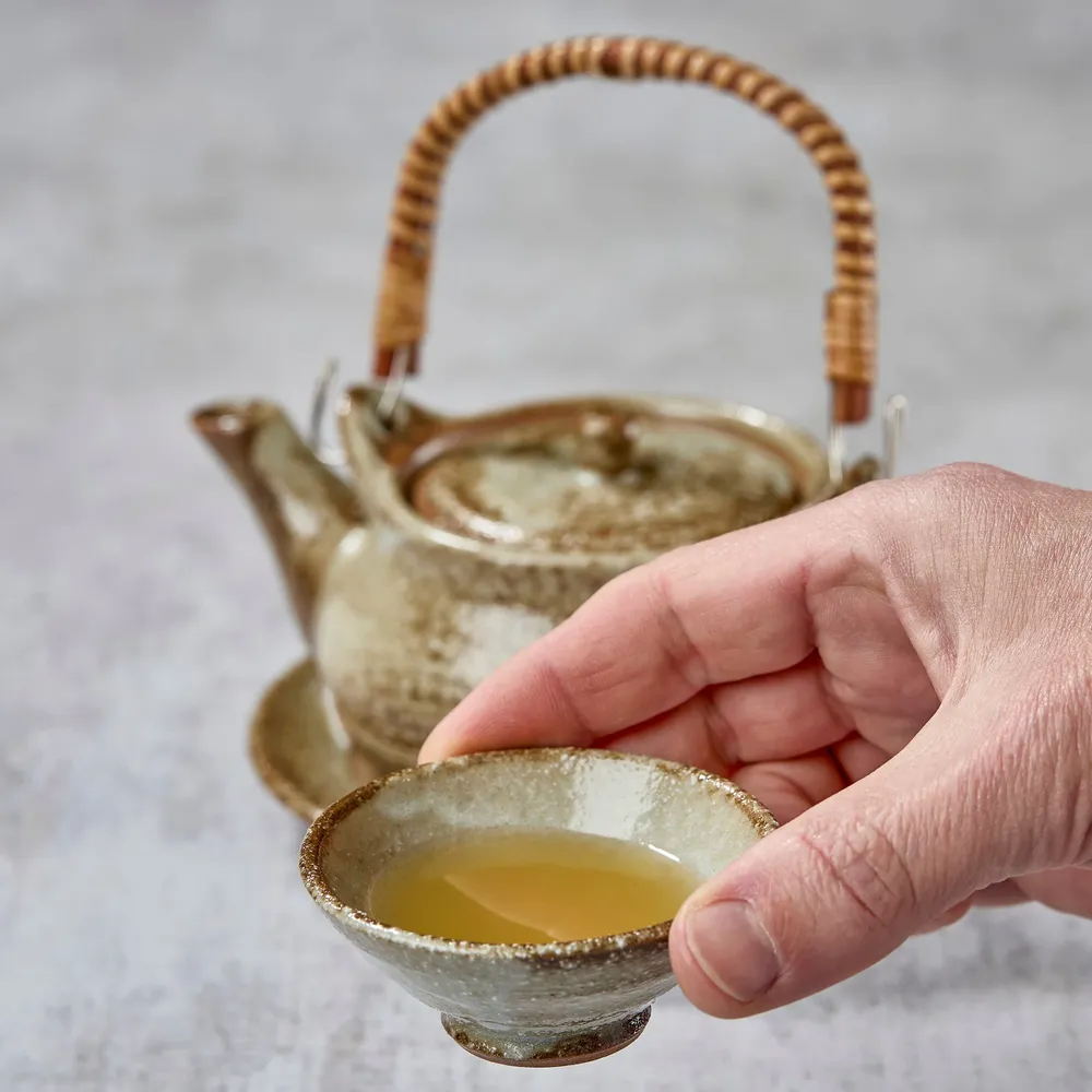 Mugs - Dobin teapot - NISHIKIDÔRI