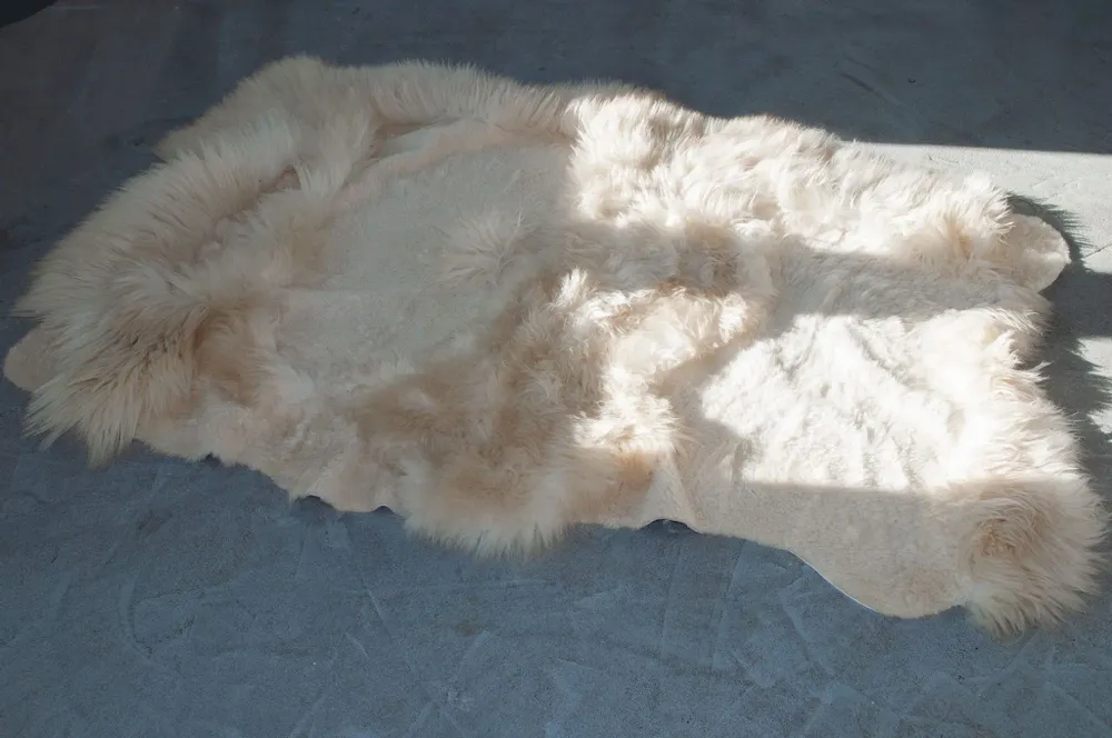 Design carpets - Natural Irregular Sheepskin Ivory Carpet - - MELLOW CONCEPT STORE