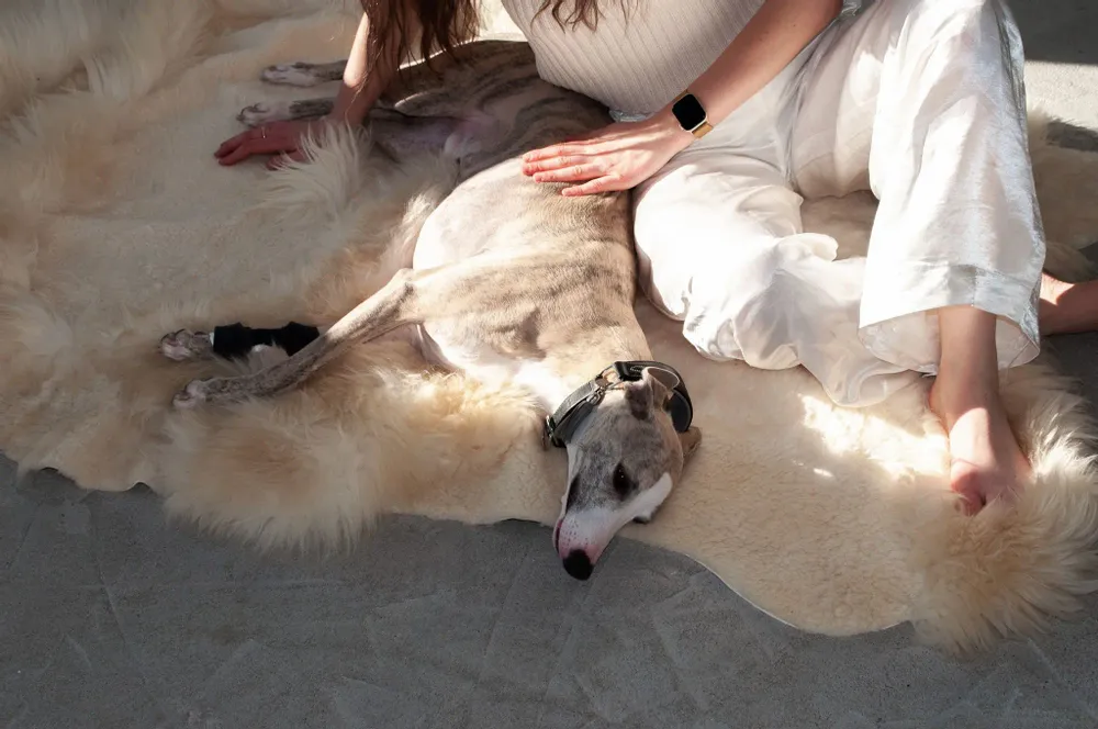 Design carpets - Natural Irregular Sheepskin Ivory Carpet - - MELLOW CONCEPT STORE
