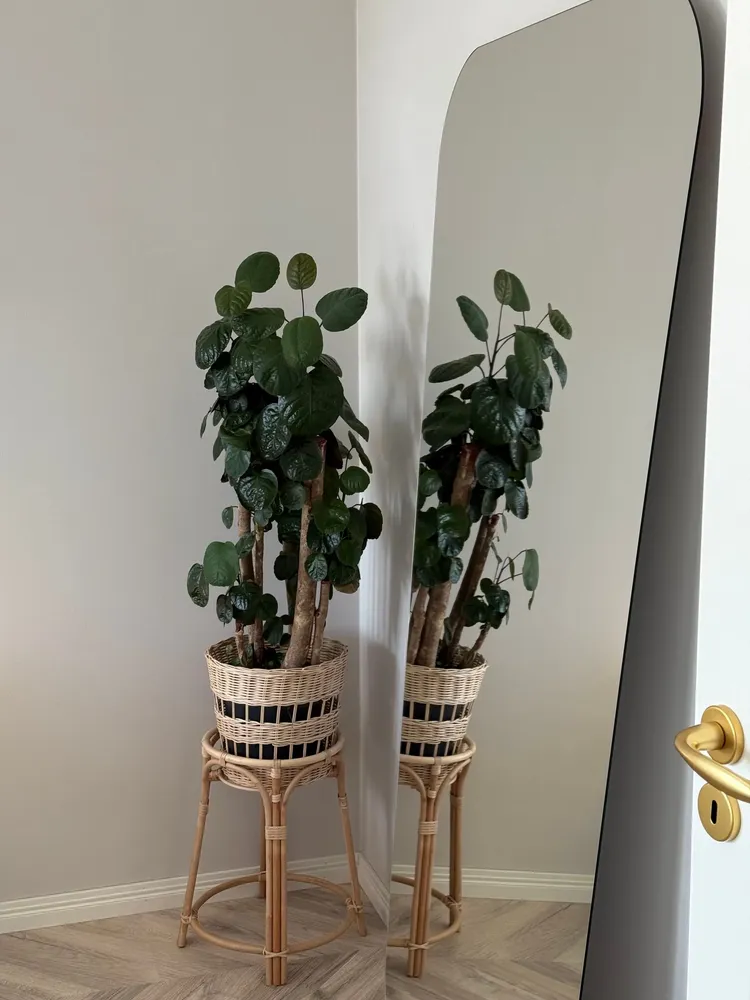 Mirrors - Retro Style Full Length Mirror (98x183cm) - SCANDINAVIAN GLASSFACTORY