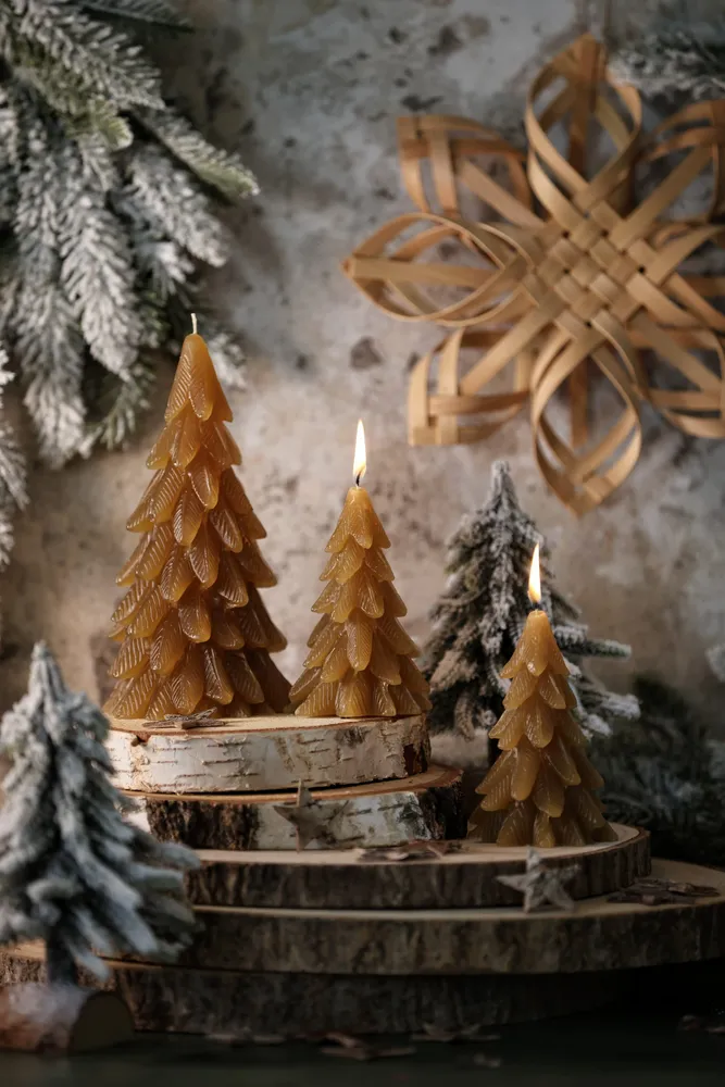 Objets de décoration - Bougie "Sapin" - CIERGERIE DES PREMONTRES