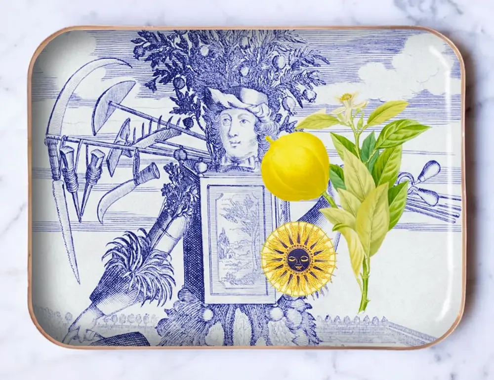 Plateaux - Plateau émaillé demi-format "Le prince jardinier" - PARADISIO IMAGINARIUM