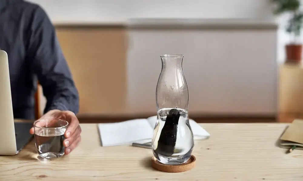 Tea and coffee accessories - Activated charcoal Binchotan filters - single unit - BLACK+BLUM EUROPE