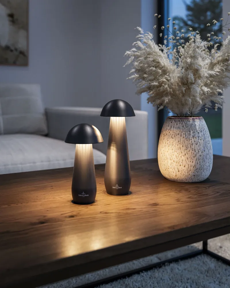 Garden accessories - MODENA - rechargeable table lamp - VILLEROY & BOCH