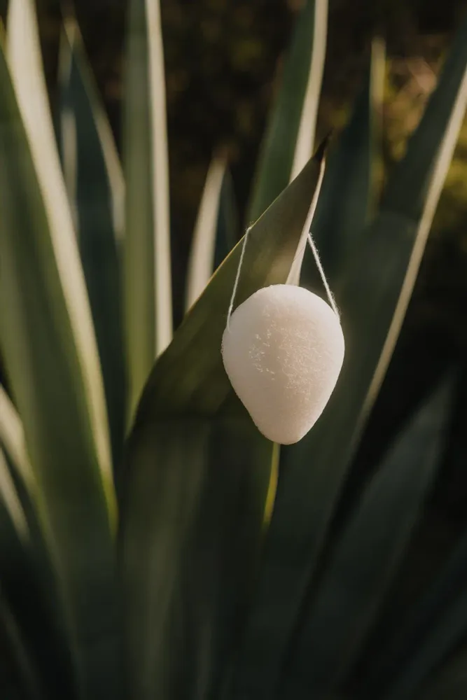 Beauty products - Konjac facial sponge | Sustainable + Natural beauty tool - AZUR NATURAL BODY CARE