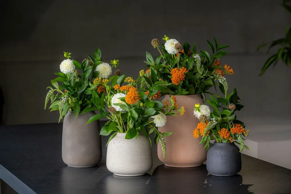 Pots de fleurs - Collection Rough - POTTERY POTS