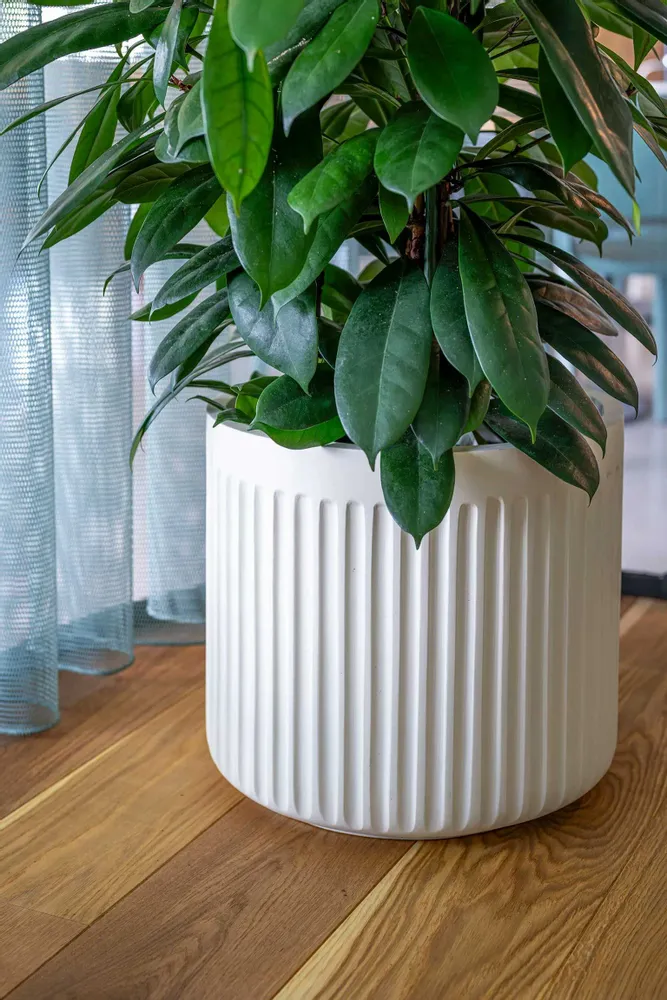 Flower pots - Ionic collection - POTTERY POTS