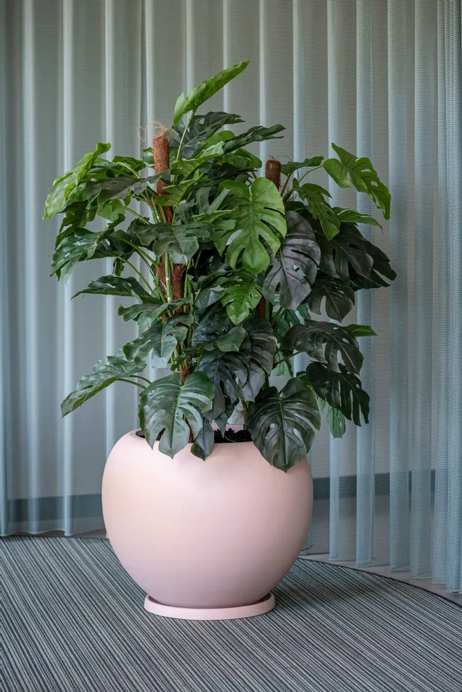 Pots de fleurs - Collection Elemental - POTTERY POTS