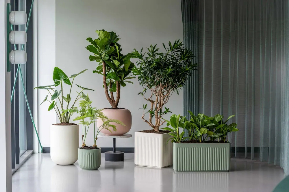 Pots de fleurs - Collection Elemental - POTTERY POTS